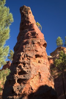 FRANCE, Provence Cote d’Azur, Le Sentier des Ocres (The Ochre Footpath) , "A tall thin, eroded