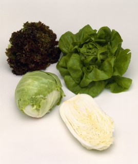 FOOD, Vegetable, Lettuces