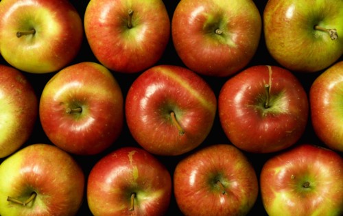 FOOD, Citrus, Fruit, An overhead view down onto a group of red apples