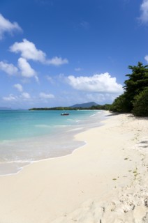 WEST INDIES, Grenada, Carriacou, The calm clear blue water breaking on Paradise Beach in L'Esterre