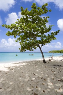 WEST INDIES, Grenada, Carriacou, The calm clear blue water breaking on Paradise Beach in L'Esterre