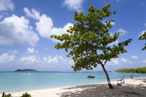 WEST INDIES, Grenada, Carriacou, The calm clear blue water breaking on Paradise Beach in L'Esterre