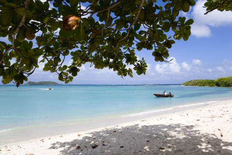 WEST INDIES, Grenada, Carriacou, The calm clear blue water breaking on Paradise Beach in L'Esterre