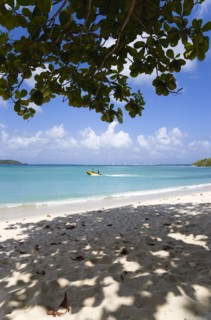 WEST INDIES, Grenada, Carriacou, The calm clear blue water breaking on Paradise Beach in L'Esterre