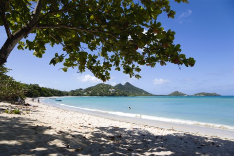 WEST INDIES, Grenada, Carriacou, The calm clear blue water breaking on Paradise Beach in L'Esterre
