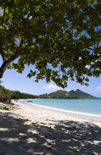 WEST INDIES, Grenada, Carriacou, The calm clear blue water breaking on Paradise Beach in L'Esterre
