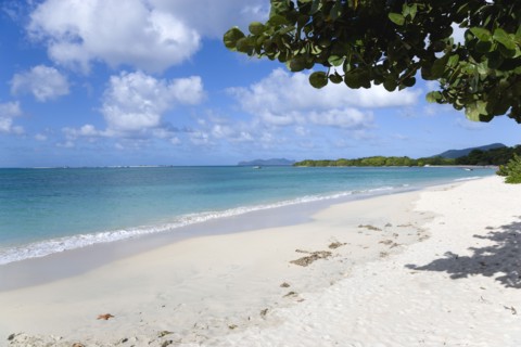 WEST INDIES, Grenada, Carriacou, The calm clear blue water breaking on Paradise Beach in L'Esterre