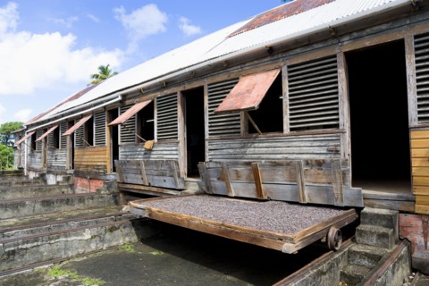 WEST INDIES, Grenada, St John, Cocoa beans drying in the sun on retractable racks under the drying