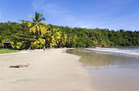 WEST INDIES, Grenada, St David, Coconut palm tree lined beach of La Sagesse with people playing on