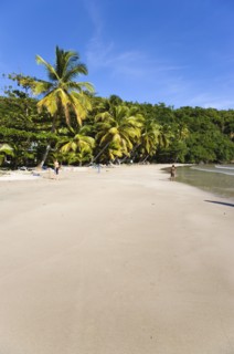 WEST INDIES, Grenada, St David, Coconut palm tree lined beach of La Sagesse with people playing on