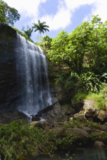 WEST INDIES, Grenada, St Andrew, Water cascading down the Royal Mount Carmell Waterfall surrounded