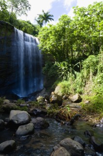 WEST INDIES, Grenada, St Andrew, Water cascading down the Royal Mount Carmell Waterfall surrounded