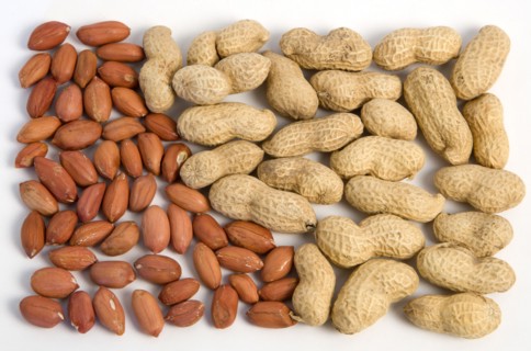 FOOD, Nuts, Groundnuts, Peanuts and kernels on a white background