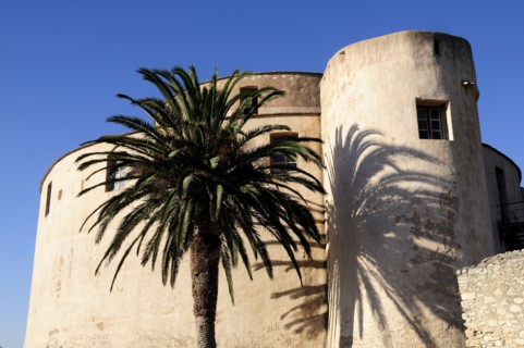 FRANCE, Corsica, St Florent, "Citadel walls with palm & shadow, Old Town"