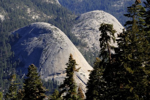 USA, California, Yosemite NP, North Dome & pines from Glacier Point