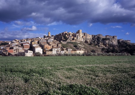 SPAIN, Catalonia, Tarragona, El Pinell de Brai. Hilltop village seen from field of flowers below