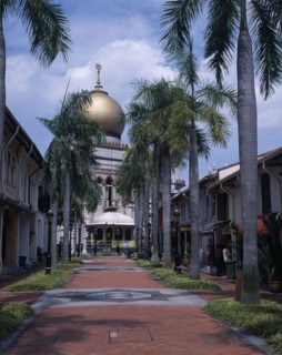 SINGAPORE, Kampong Glam , Sultan Mosque, Road lined with palm trees leading to the Sultan Mosque