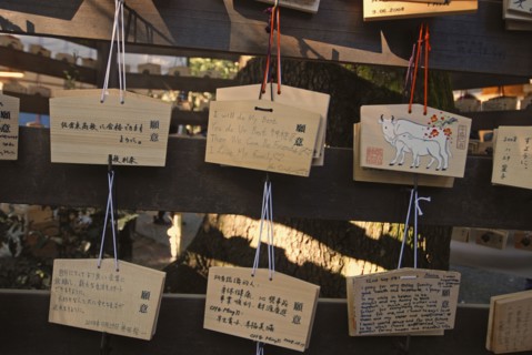 JAPAN, Honshu, Tokyo, "Jingumae - at Meijijingu shrine, ema wooden cards with New Years resolutions