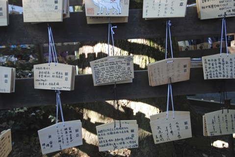 JAPAN, Honshu, Tokyo, "Jingumae - at Meijijingu shrine, ema wooden cards with New Years resolutions