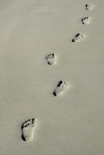 USA, Georgia, Tybee Island, Human footprints in the sand.