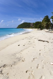 WEST INDIES, St Vincent & The Grenadines, Canouan, South Glossy Beach in Glossy bay with footprints