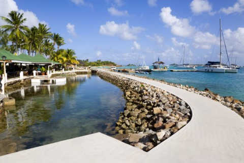 WEST INDIES, St Vincent & The Grenadines, Union Island, The walkway and shark pool beside the bar