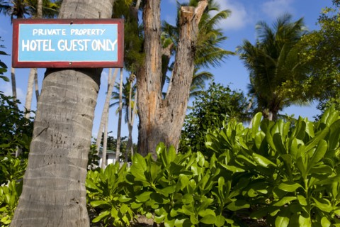 WEST INDIES, St Vincent & The Grenadines, Union Island, Sign attached to a coconut palm tree in the