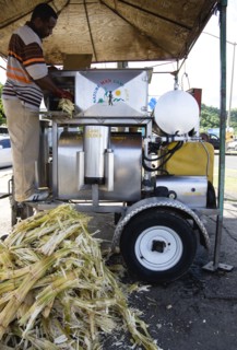 WEST INDIES, Grenada, St George, Man feeding sugar cane into a mobile cane juice machine beside