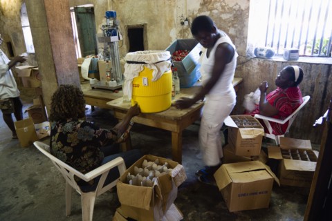 WEST INDIES, Grenada, St Patrick, Female workers hand bottling the rum at the River Antoine