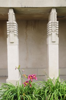 USA, California, Los Angeles, Hollyhock detail on exterior of Hollyhock House
