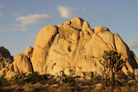 USA, California, Joshua Tree National Park, "Hidden Valley legendary cattle rustler's hideout,