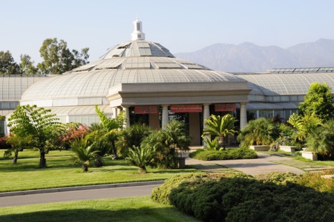 USA, California, Los Angeles, "Rose Hills Foundation Conservatory, The Huntington, Pasadena"
