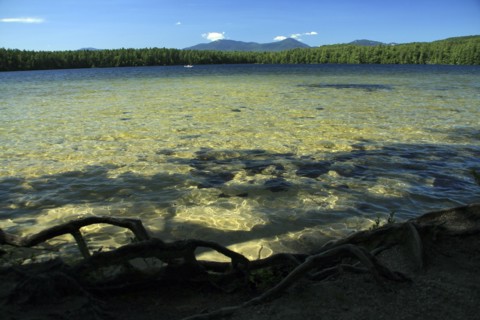 USA, New Hampshire, Tamworth, White Lake Campground with clear shallow water in the foreground.