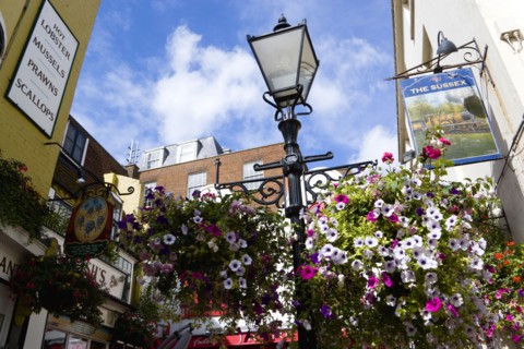 ENGLAND, East Sussex, Brighton, The Lanes Old fashioned streetlight lamppost between Englishs