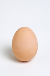 FOOD, Uncooked, Eggs, One hard boiled free range egg on a white background.