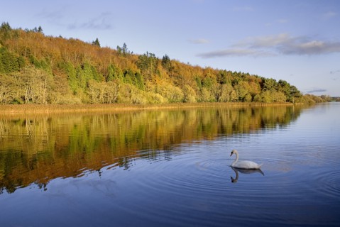 IRELAND, County Monaghan, Castle Blayney, Autumn colours at Lough Muckno.