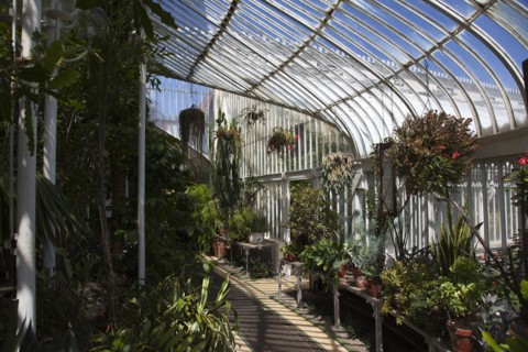 Ireland, Northern, Belfast, Botanic Gardens with people sat on benches outside the Palm House next