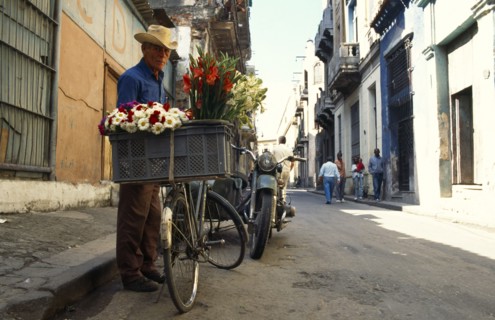 CUBA, Havana, Old Havana, Flower seller in narrow street.