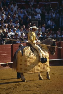 Spain, Andalucia, Seville, Picador with lance riding a padded and blindfolded horse in the bullring