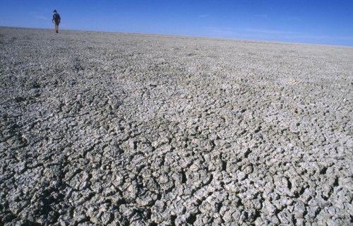 Namibia, Etosha National Park, Etosha Pan, Distant figure walking across dry and cracked expanse of
