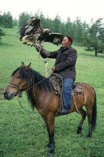 China, Xinjiang Province, Altay Mountains, Kazakh falconer on horseback with eagle used for hunting