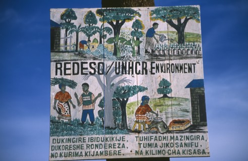 Tnazania, Environment, NGO for environmental regeneration.