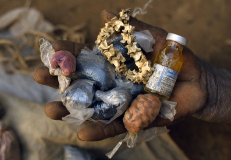 Burkina Faso, Bisaland, Sigue Voisin Village, Cropped view of man holding handful of homemade