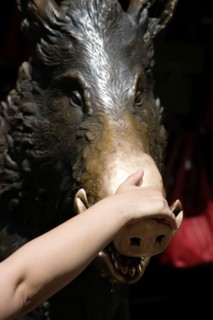 ITALY, Tuscany, Florence, The 17th century bronze fountain called Il Porcellino in the Mercato