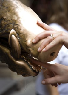 ITALY, Tuscany, Florence, The 17th century bronze fountain called Il Porcellino in the Mercato