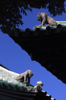 Japan, Tokyo, Kanda, Yushima Seido Confucian Shrine, detail of roof of compound surrounding wall,