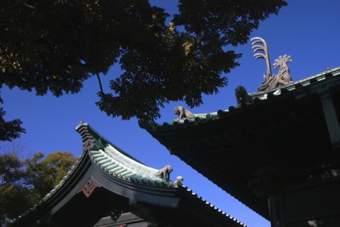 Japan, Tokyo, Kanda- Yushima Seido Confucian Shrine, details of roof wall surrounding  shrine