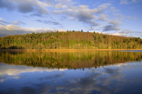 IRELAND, County Monaghan, Castle Blayney, Autumn colours at Lough Muckno.