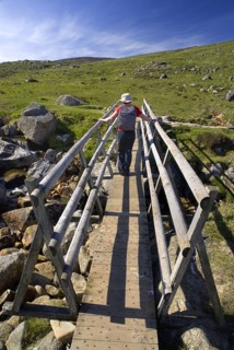 IRELAND, County Wicklow, A hiker crosses a wooden bridge on the Spink Trail.