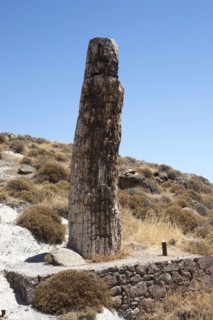 GREECE, North East Aegean, Lesvos Island, Eresos, Fossilized tree at the ancient fossilized forest,